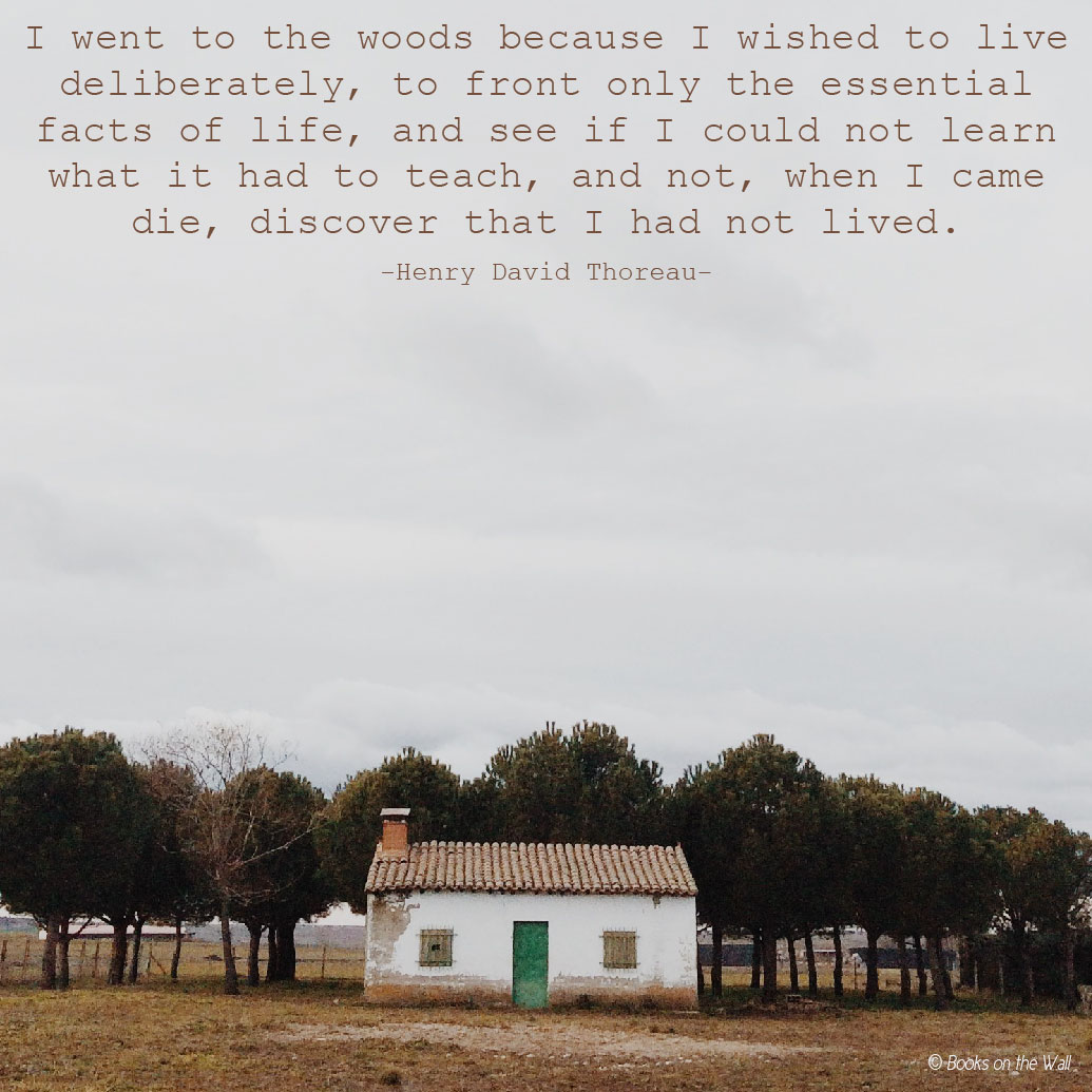 Quote from Walden by Henry David Thoreau