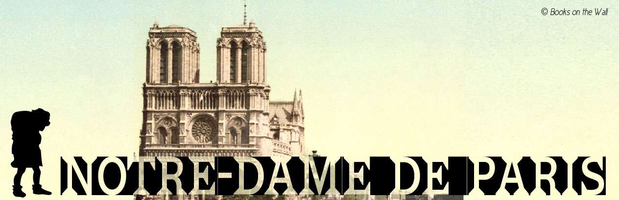 the hunchback of notre dame book cover
