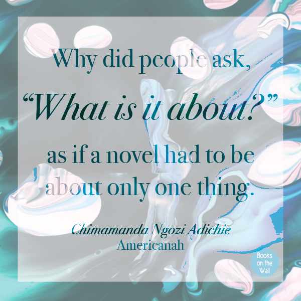 chimamanda ngozi americanah