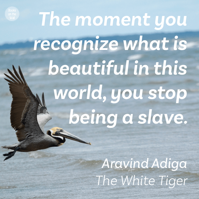 Aravind Adiga Quote The White Tiger Books On The Wall