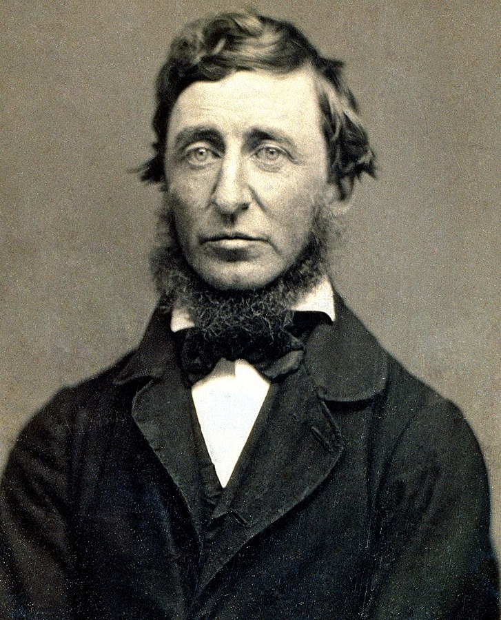 Henry David Thoreau daguerreotype by Benjamin D. Maxham (restored)